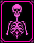 Hot Pink Skeleton Bone Frame Rug