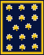 Navy Yellow Clover Garland Rug