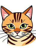 Cute Orange Tabby Cat Face Rug