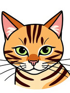Cute Orange Tabby Cat Face Rug
