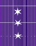 Purple Vertical Stripe Starburst Rug