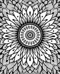 Black White Radial Sunburst Mandala Rug