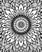 Black White Radial Sunburst Mandala Rug