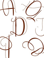 Brown Calligraphy Monogram Cluster Rug