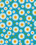 Vibrant White Daisy Blooms Blue Background Rug