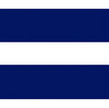 Bold Navy And White Stripe Rug