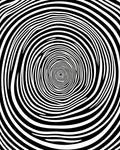 Onyx White Swirling Vortex Rug