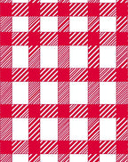 Red White Gingham Checkered Squares Rug