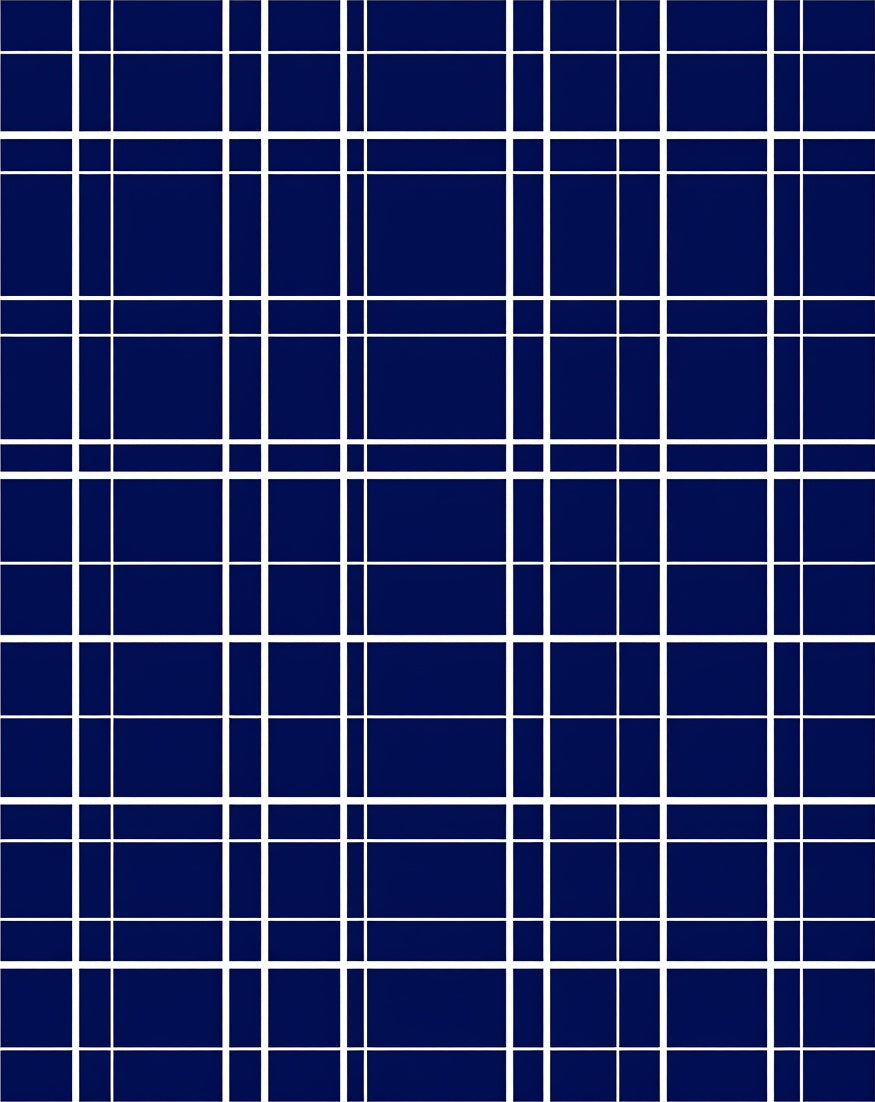 Classic Blue White Grid Lines Rug