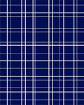 Classic Blue White Grid Lines Rug