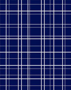 Classic Blue White Grid Lines Rug