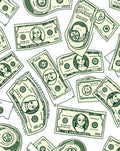 Dollar Bills Dollar Bills Green Money Rug