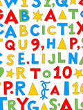 Alphabetical Colorful Scattered Blocks Rug