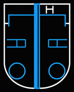 Bold Black Blue Geometric Hockey Rink Rug