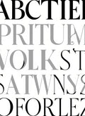 Black and White Serif Type Abbreviation Rug