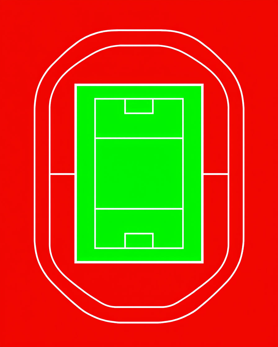 Bold Stadium Field Graphic Rug