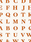 Terracotta Alphabet Grid Rug