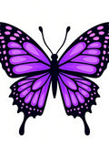 Vibrant Purple Butterfly Wing Rug