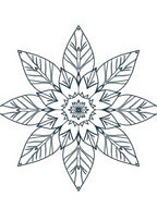 Dark Teal Floral Mandala Rug