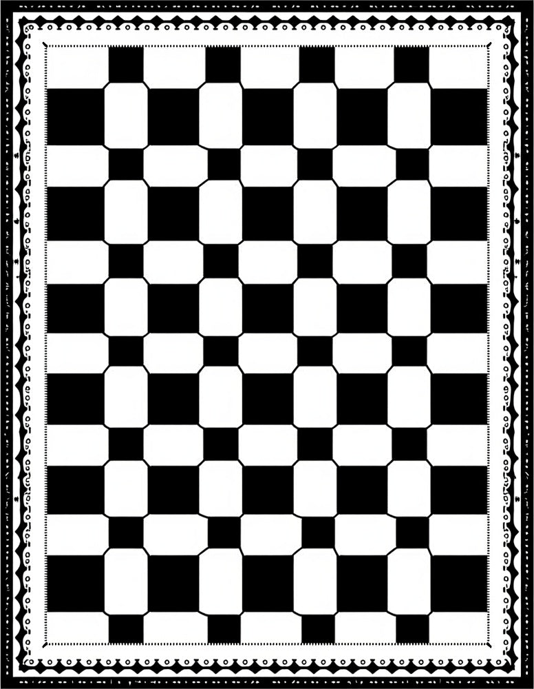 Classic Black White Checkerboard Borders Rug