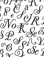 Vintage Black Calligraphy Alphabet Collage Rug