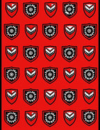 Red Geometric Shield Medallion Rug