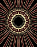 Bold Burgundy Radiant Sunburst Rug