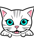Cute White Cat Blue Eyes Teal Accent Rug