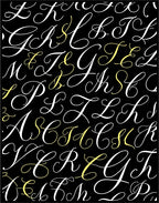 Monogram Black White Yellow Script Letters Rug