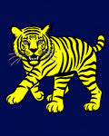 Bold Yellow Tiger Stripe Rug