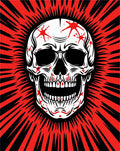 Crimson Skull Exploding Sunburst Rage Rug