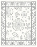 Gray Botanical Sketch Frame Rug