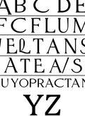 Elegant Serif Alphabet Black White Rug