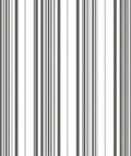 Modern Gray Vertical Stripe Rug