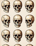 Bold Skull Collage Artwork Rug