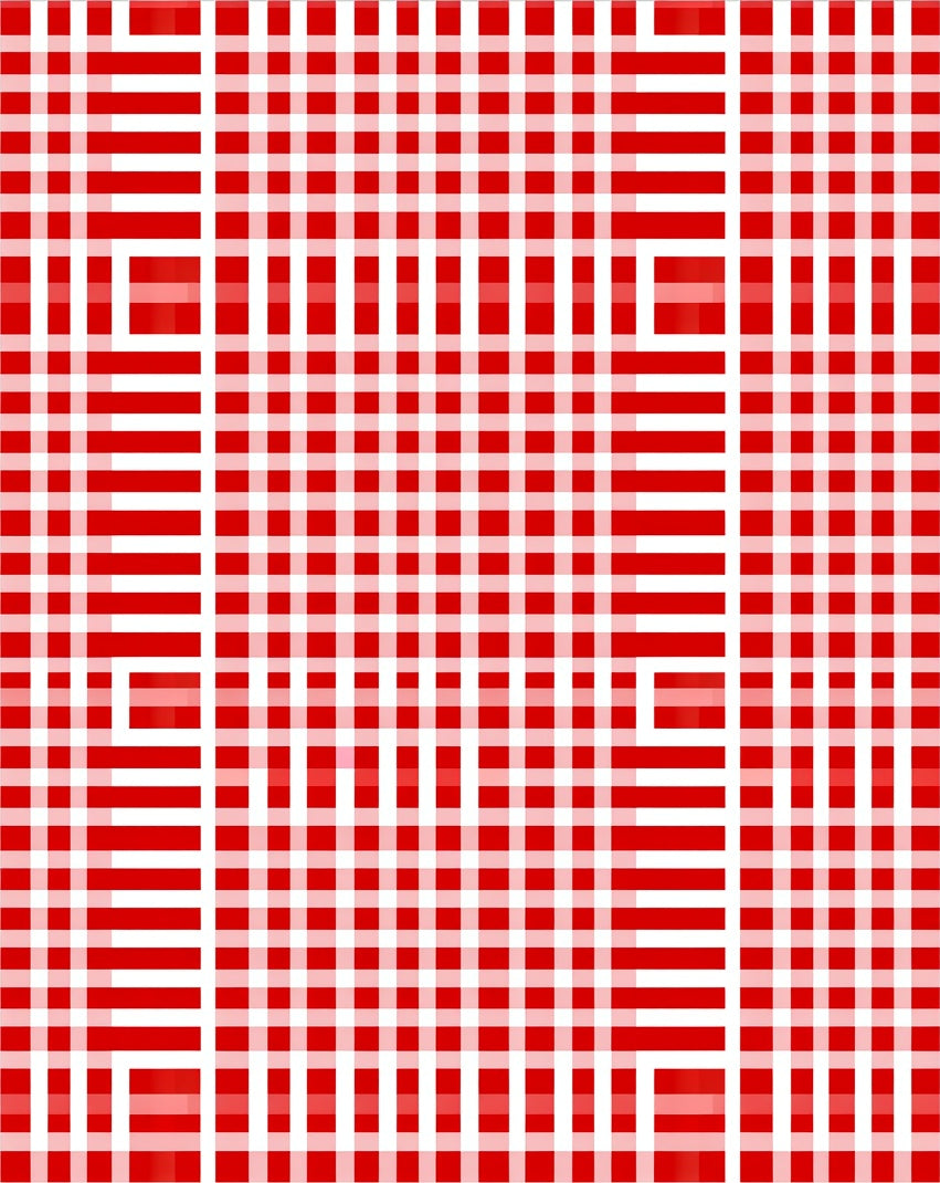 Red White Intersecting Lines Rug