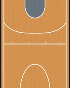 Brown Court Lines Rug
