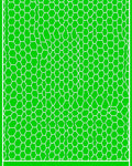 Vibrant Green Hexagonal Overlay Rug
