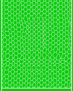 Vibrant Green Hexagonal Overlay Rug