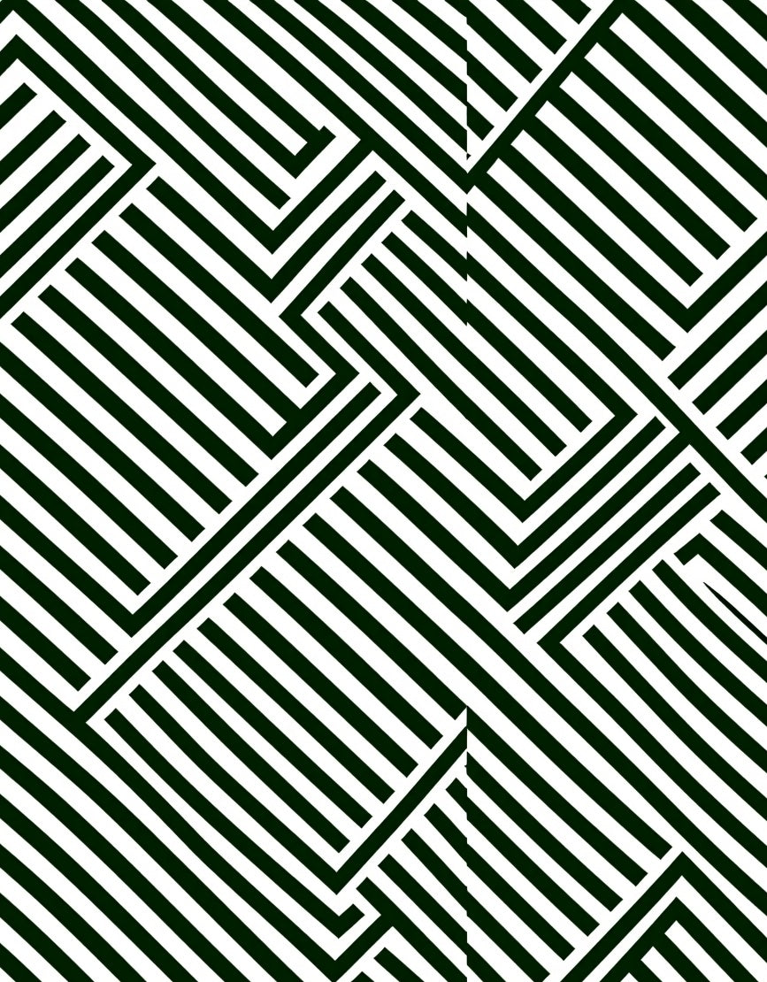 Modern Black and White Geometric Lines Rug