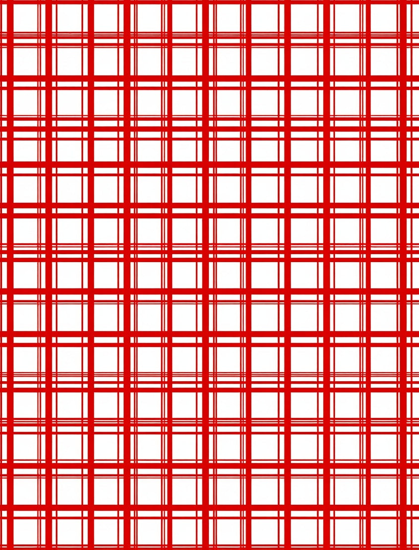 Classic Red White Plaid Checkered Rug
