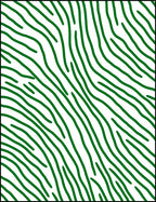 Green Organic Stripe Abstract Rug