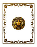 Ornate Gold Frame Star Medallion Rug