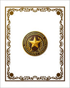 Ornate Gold Frame Star Medallion Rug