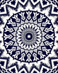 Midnight Blue Floral Radiance Rug