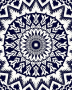 Midnight Blue Floral Radiance Rug
