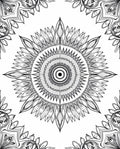 Intricate Black Sunflower Mandala Rug