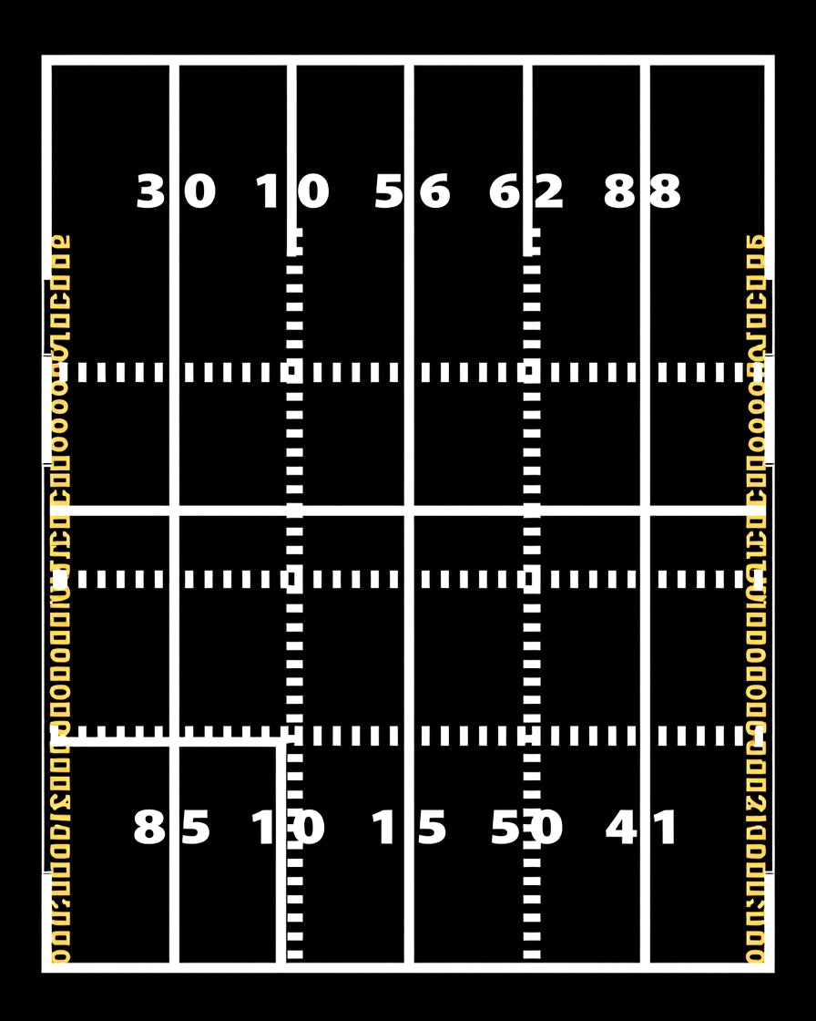 Black and White Football Field Numeric Rug