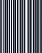 Bold Navy White Vertical Lines Rug