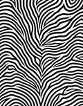 Bold Black White Organic Waves Rug